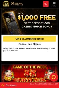 Golden Nugget Casino MI Promos