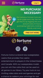 fortune coins promos